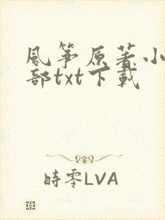 风筝原著小说全部txt下载