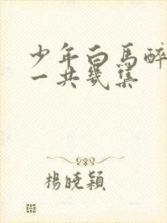 少年白马醉春风一共几集