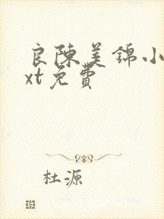 良陈美锦小说txt免费