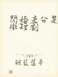 闪婚老公是总裁微短剧