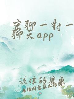密聊一对一视频聊天app