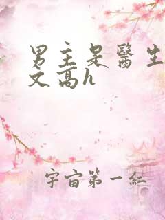 男主是医生的荤文高h