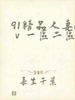 91精品人妻aⅴ一区二区