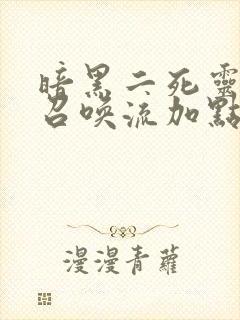 暗黑二死灵法师召唤流加点