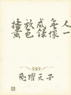 播放成年人看的黄色录像一级片