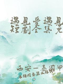 遇见爱遇见幸福短剧全集免费看