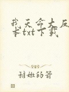 我天命大反派全本txt下载