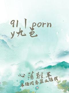 91丨porny九色