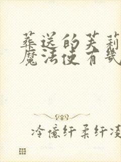 葬送的芙莉莲大魔法使有几个