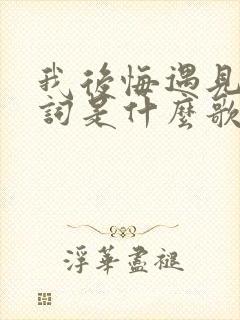 我后悔遇见你歌词是什么歌