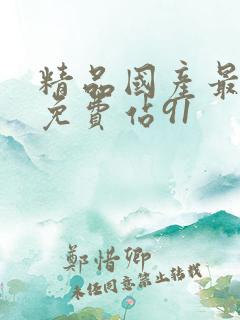 精品国产最大网免费站91