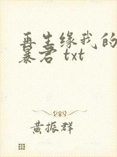 再生缘我的温柔暴君 txt