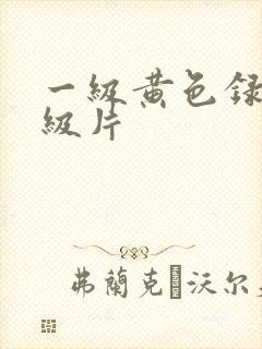 一级黄色录像一级片