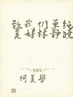 致我们单纯的小美好林静晓