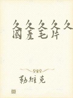 久久久久久精品国产毛片