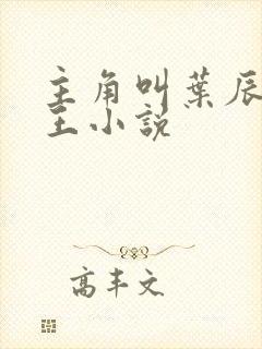 主角叫叶辰的兵王小说