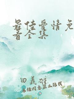 最佳爱情免费观看全集