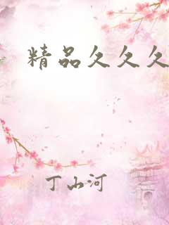 精品久久久国产