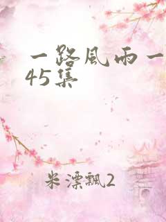 一路风雨一世情45集