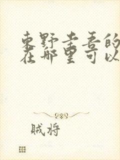 东野圭吾的小说在哪里可以看