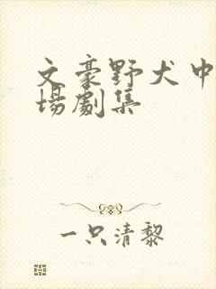 文豪野犬中也出场剧集