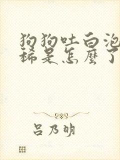 狗狗吐白泡沫拉稀是怎么了