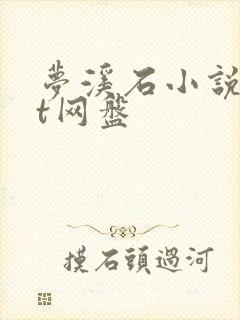 梦溪石小说txt网盘