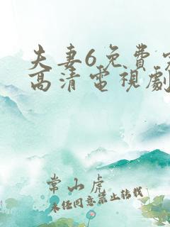 夫妻6免费完整高清电视剧看