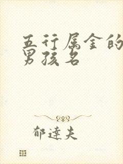 五行属金的字起男孩名