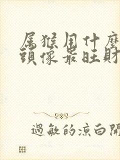 属猴用什么微信头像最旺财