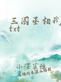 三国丞相我来了txt