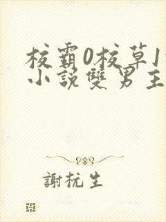 校霸0校草1的小说双男主