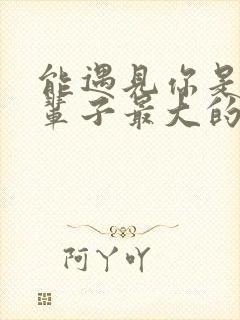 能遇见你是我这辈子最大的幸运