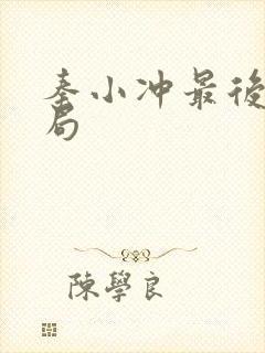 秦小冲最后的结局