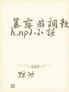 暴露癖调教(高h,np)小说