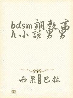 bdsm调教高h小说男男