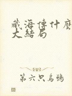 藏海传什么时候大结局