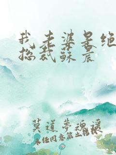 我老婆是绝色女总裁苏晨