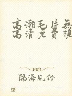 高潮毛片无遮挡高清免费视频