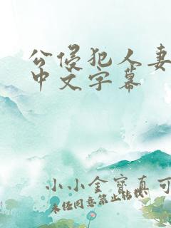 公侵犯人妻hd中文字幕