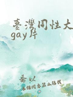台湾同性大尺度gay片