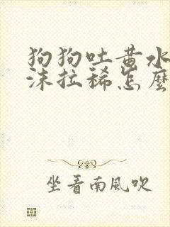 狗狗吐黄水带泡沫拉稀怎么办