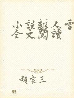 小说离人雪满襟全文阅读