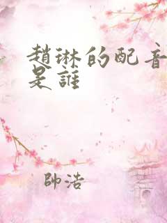 赵琳的配音演员是谁