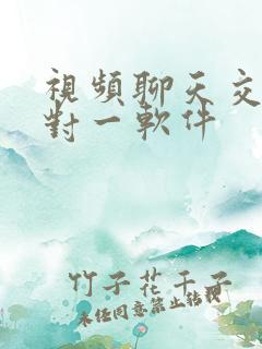 视频聊天交友一对一软件