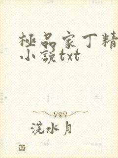 极品家丁精校版小说txt