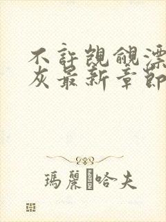 不许觊觎漂亮炮灰最新章节