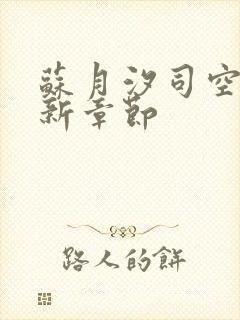 苏月汐司空靖最新章节