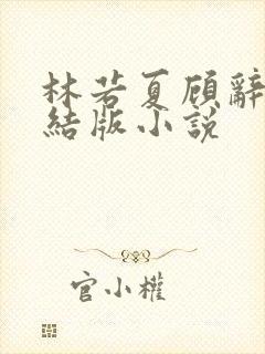 林若夏顾辞舟完结版小说