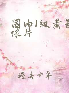 国内1级黄色录像片